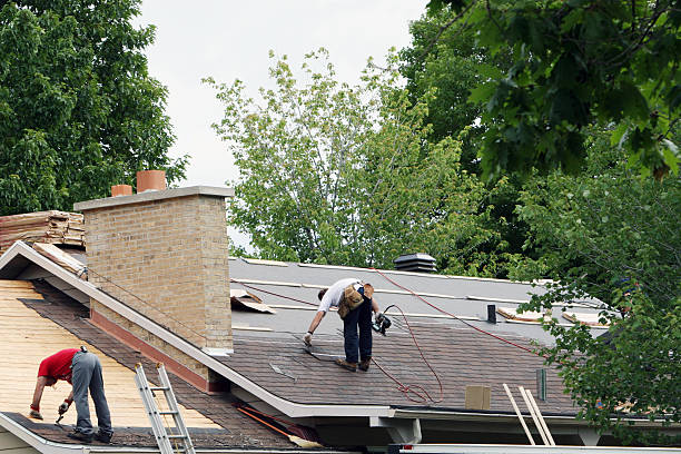 Professional Roofing Contractor in Penn State Erie, PA