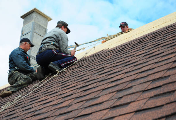 Best Residential Roofing Contractor  in Penn State Erie, PA